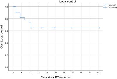 Stereotactic Body Radiation Therapy (SBRT) as Salvage Therapy for Oligorecurrent Pleural Mesothelioma After Multi-Modality Therapy